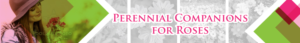 Banner Ad Design by DiDi's for Garden and Lifestyle LLC | Design: #8538697