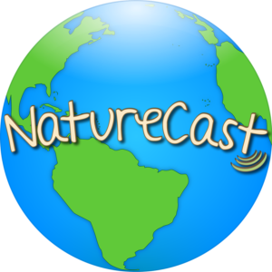 Icon Design by Sarah.Bronstein for this project | Design: #8408851