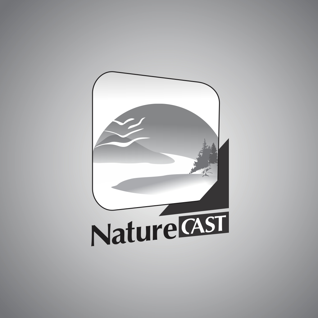 Icon Design by bhergi-design2print for this project | Design #8408512