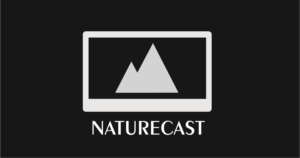 Icon Design by jetzet24 for this project | Design: #8151636