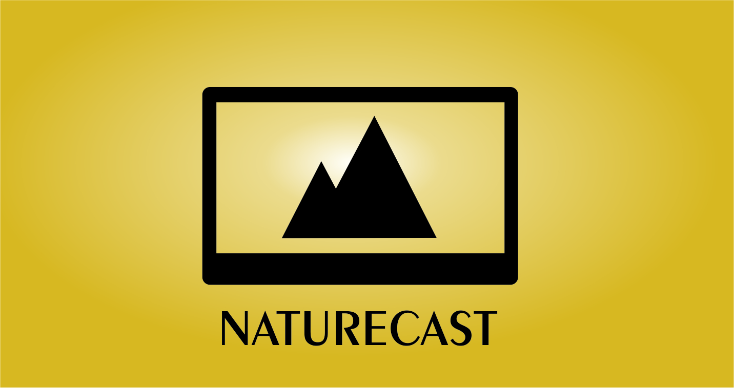 Icon-Design von jetzet24 für dieses Projekt | Design #8163628