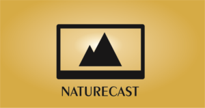 Icon Design by jetzet24 for this project | Design: #8163628