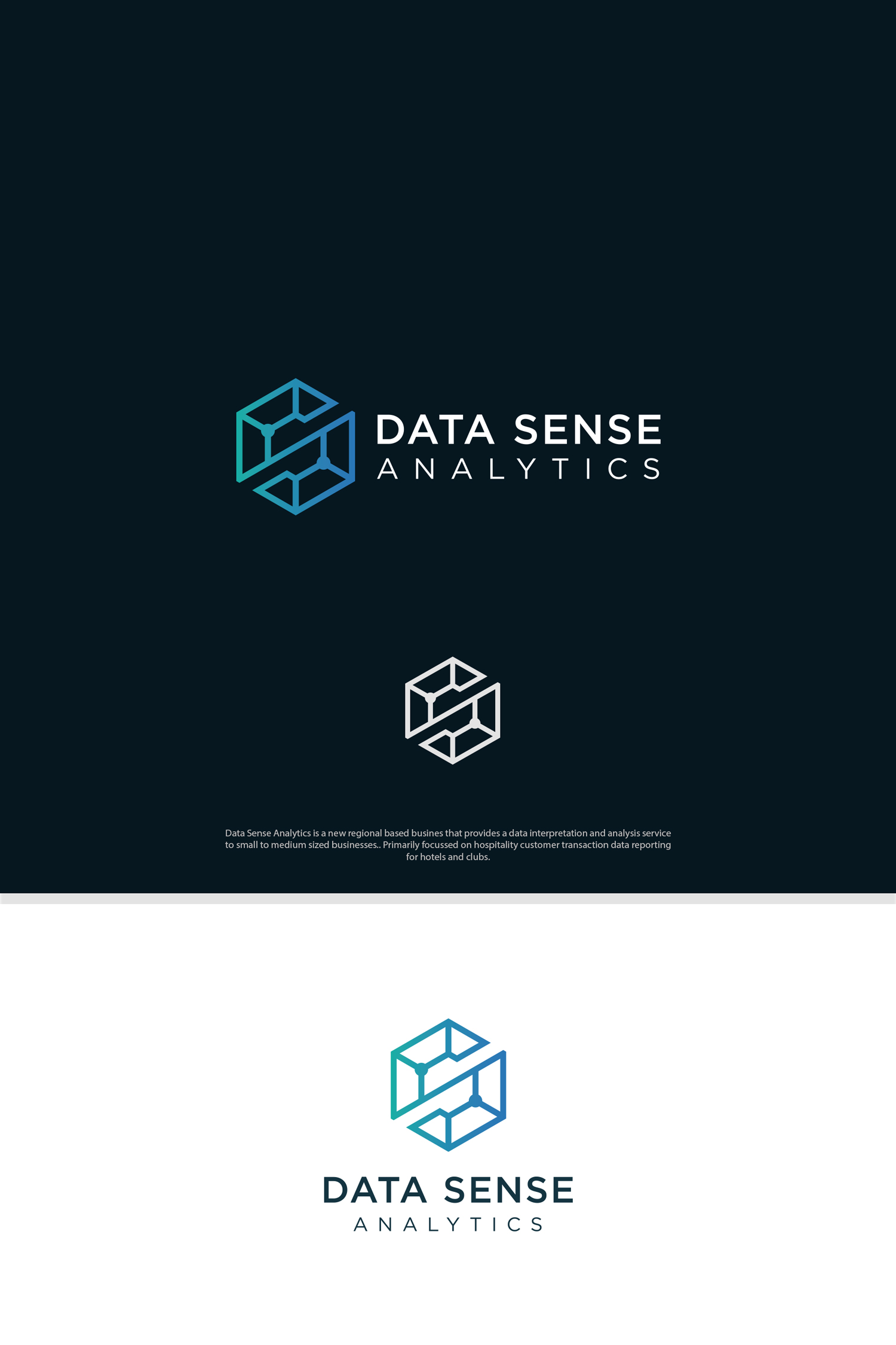 Logo Design by Petrovic N for Data Sense Analytics | Design #8007081