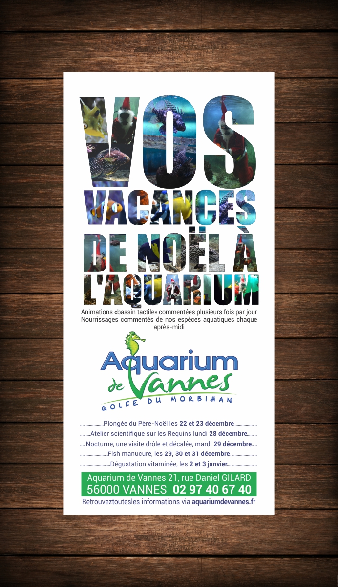 Flyer-Design von creativeride für dieses Projekt | Design #8007699