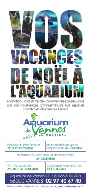 Flyer-Design von creativeride für dieses Projekt | Design: #8015113