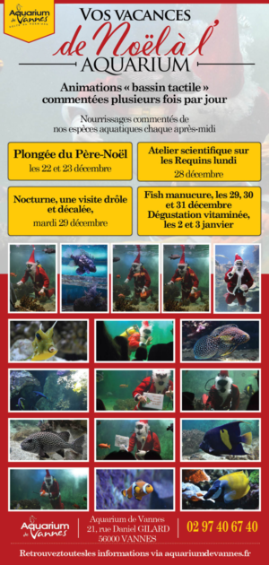 Design de Flyer par udayraj6275 pour ce projet | Design #8002849