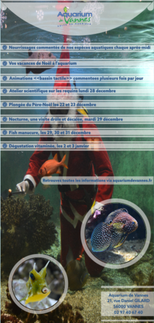 Flyer Design by furqanrashid706