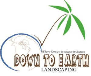 Logo Design by BORNROBOTS
