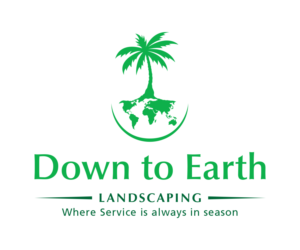 Logo Design by Elim for this project | Design: #8168214