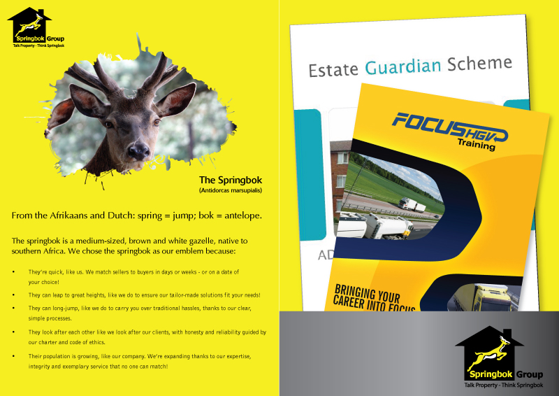 Diseño de Brochure por Biswajit para YS | Diseño #398508