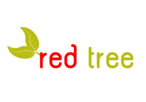 Logo Design by Designer Valley