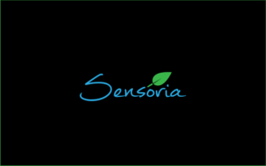 Logo Design by OCHora