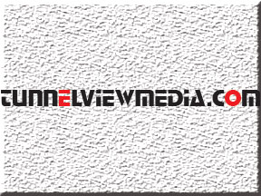 Design de Logo par kamrunnahardip pour Globalhandshake Enterprise Ltd | Design #8017558