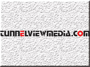 Logo Design by kamrunnahardip for Globalhandshake Enterprise Ltd | Design: #8017558