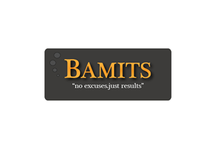Logo-Design von RAGU für BAMITS | Design #1957228