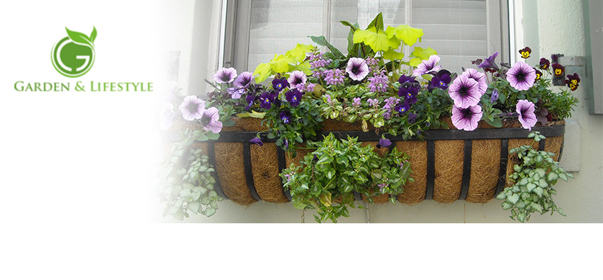 Design Facebook par Hulk smith pour Garden and Lifestyle LLC | Design #8151717