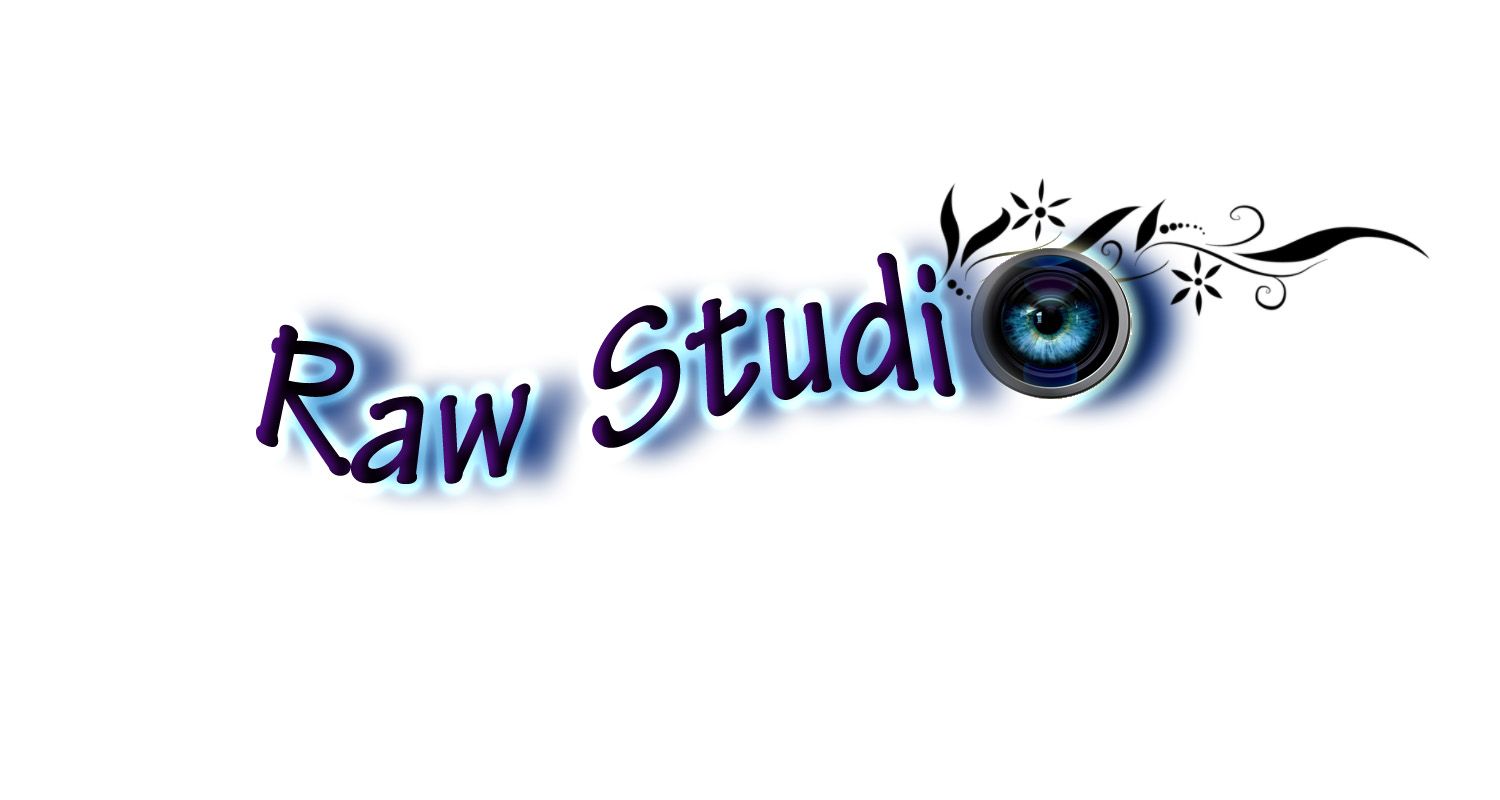 Logo Design by Miruna for this project | Design #396910