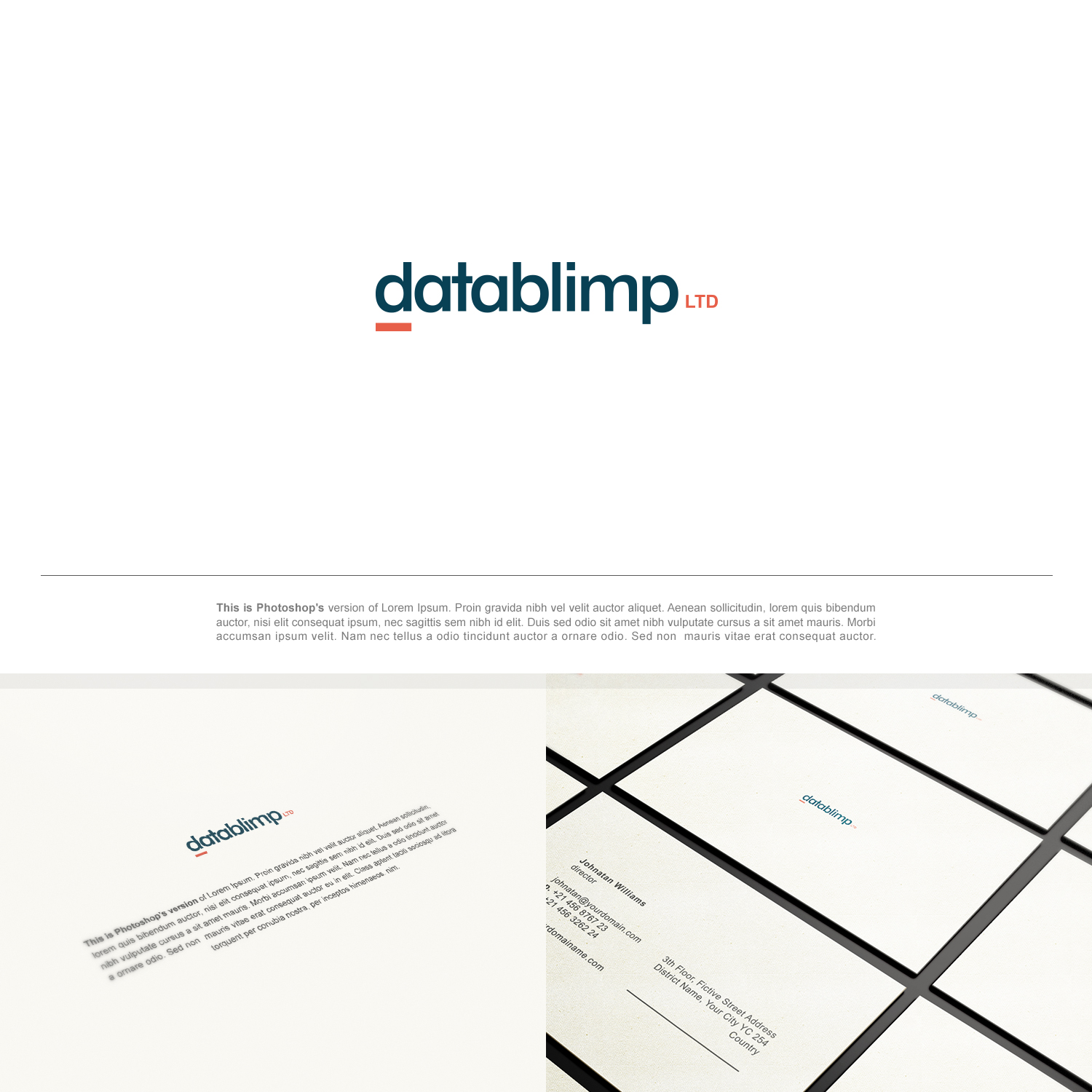 Logo Design by VisualFlava for Datablimp Ltd | Design #8396071
