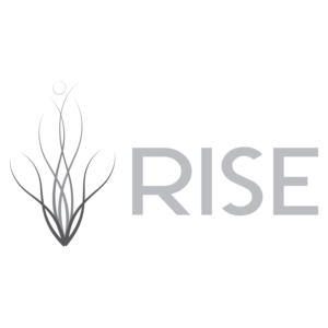 Logo Design by icessss