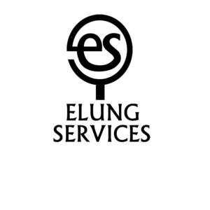 Logo Design by danangsuriken for eIung Managerial Services LLC | Design #8170461