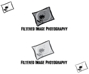 Logo Design by milan1981 for Filtered Image Photography | Design: #8417819