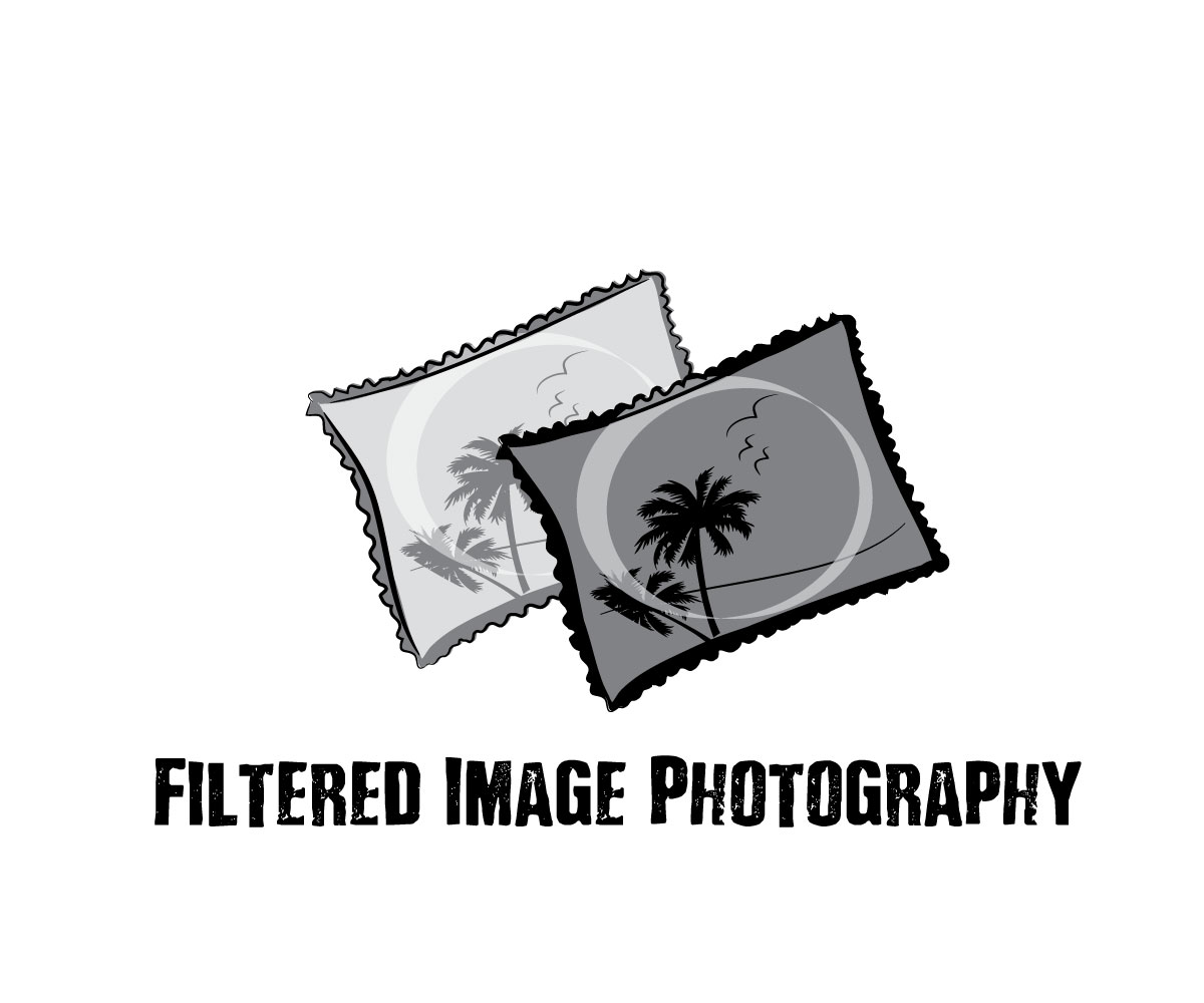 Logo Design by milan1981 for Filtered Image Photography | Design #8417826