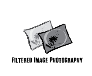Logo Design by milan1981 for Filtered Image Photography | Design: #8417826