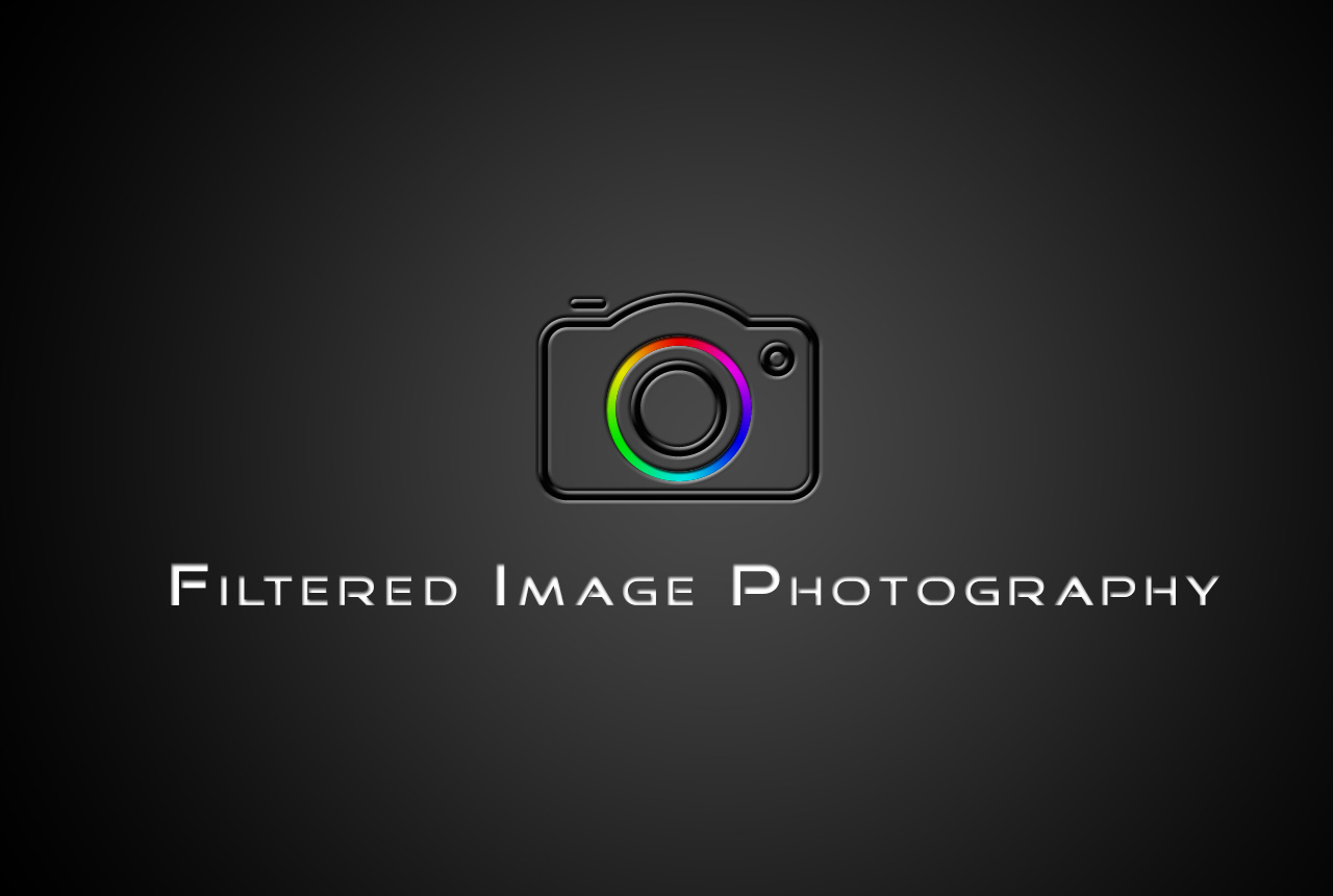 Logo Design by ray3kay for Filtered Image Photography | Design #8424087