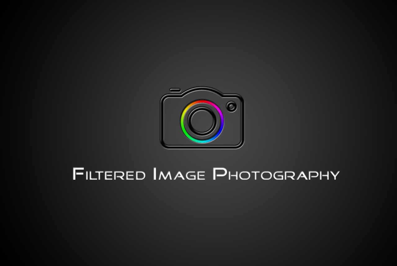 Diseño de Logo por ray3kay para Filtered Image Photography | Diseño #8424224