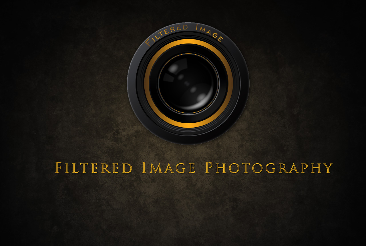 Logo Design by ray3kay for Filtered Image Photography | Design #8424766