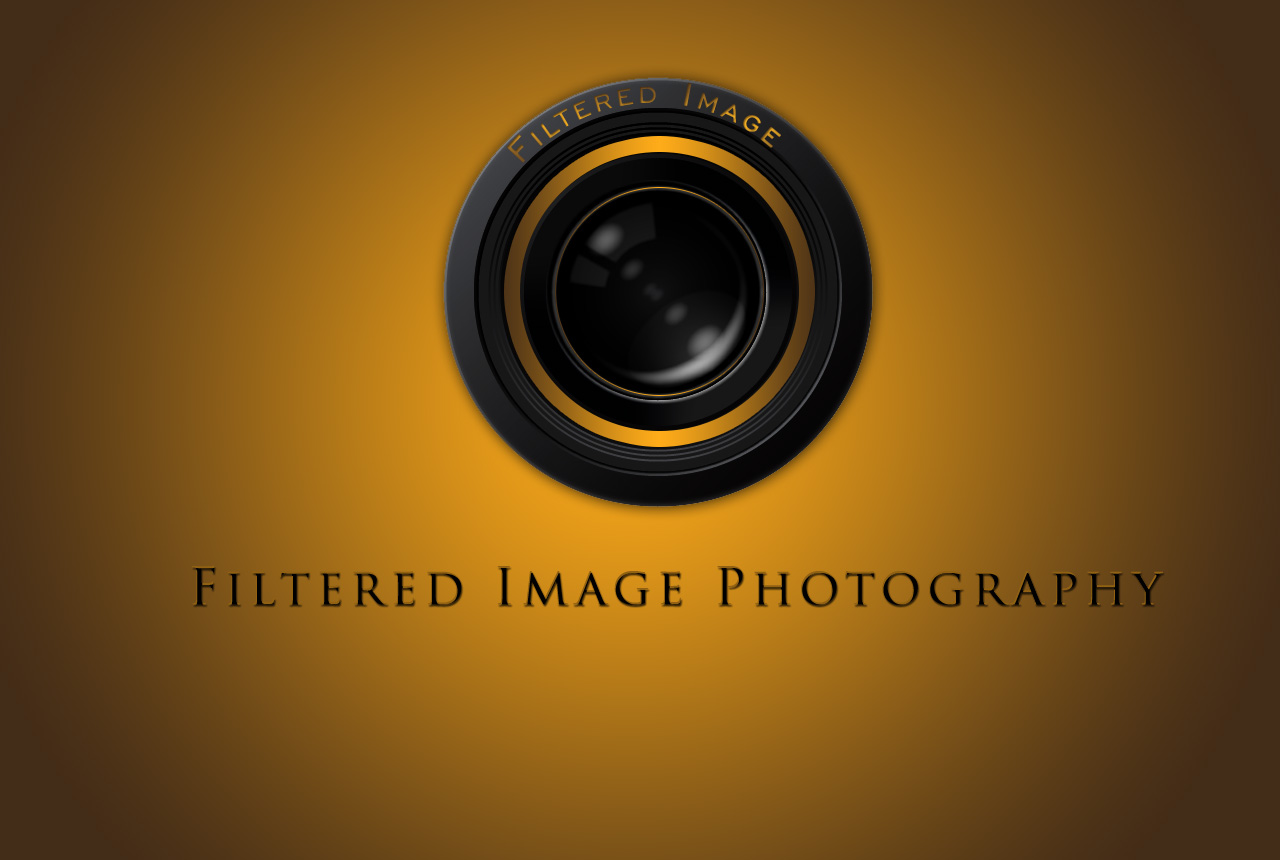 Logo Design by ray3kay for Filtered Image Photography | Design #8424767