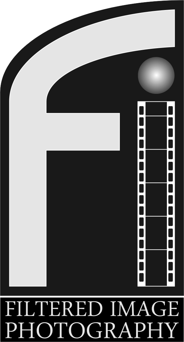 Logo Design by alecte4 for Filtered Image Photography | Design #8206382
