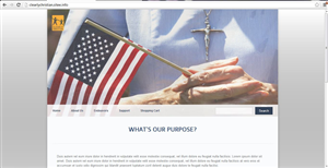 Non-Profit Web Design - 4 pages + Blog plugin | Diseño Web por Marq