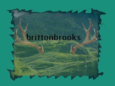 Diseño de Logo por Rubi para BrittonBrooks | Diseño #1971059