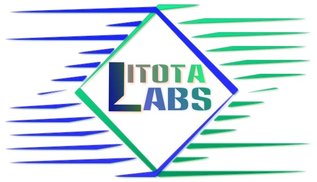 Logo Design by Dilhara H. for Litota Labs | Design #1981760