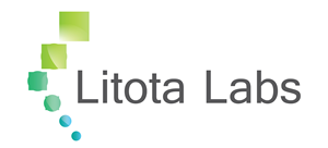 Litota Labs | Logo Design by 45DWorks