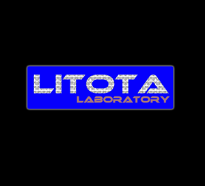 Logo Design by designer17 for Litota Labs | Design: #1991475