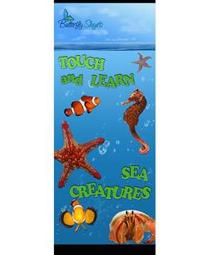 Poster Design by landis_ware for Butterfly Skye | Design #1998560