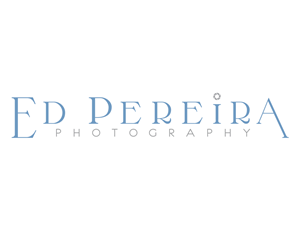 Logo Design by DG | Graphic Design