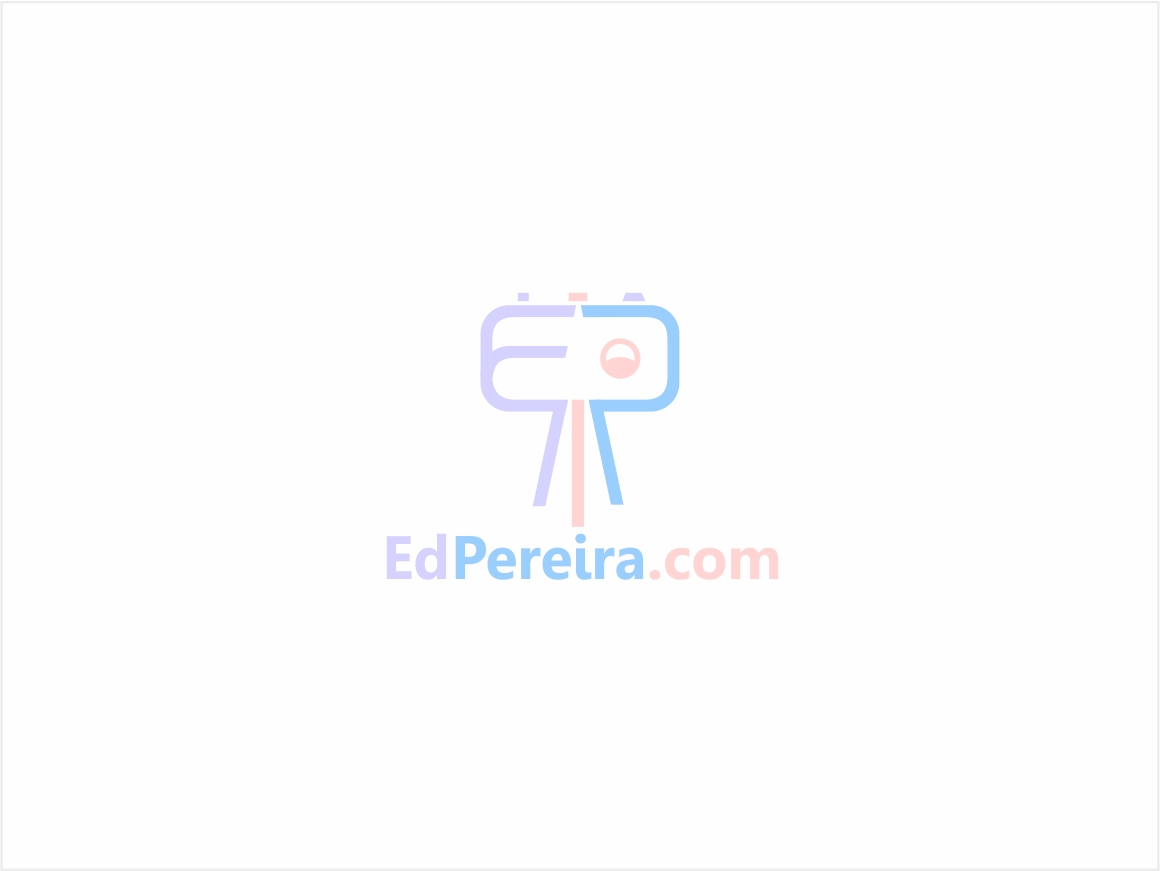 Logo Design by Logocraft for Ed Pereira Photography | Design #1996114