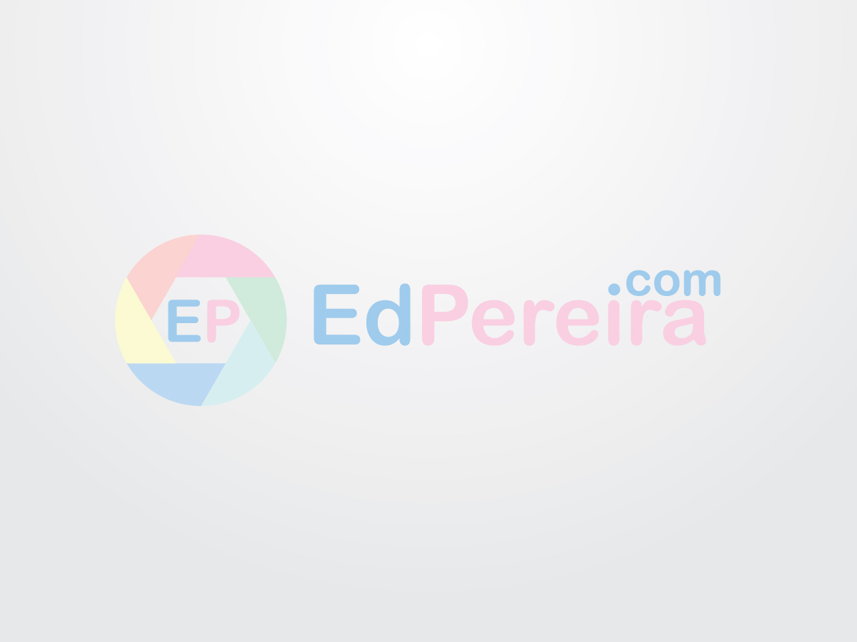 Logo-Design von lolti für Ed Pereira Photography | Design #2019810