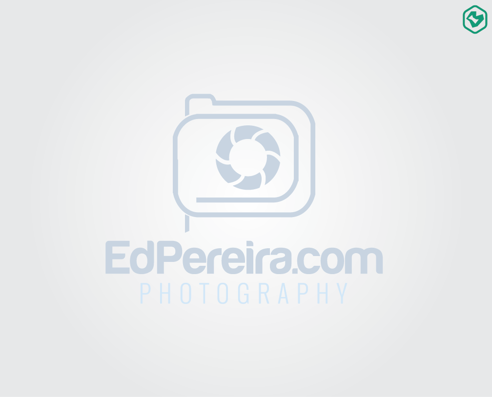 Logo Design by Bolshoi Creations for Ed Pereira Photography | Design #2026007