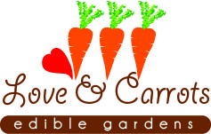 Logo Design by adriana for this project | Design #404049