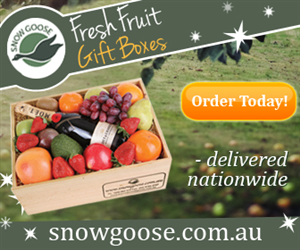Banner Ad Design by Karolin for this project | Design #2021706