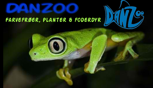 Banner Ad Design by marv'z for Danzoo ApS | Design #1962123