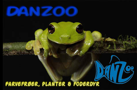 Banner Ad Design by marv'z for Danzoo ApS | Design #1962141