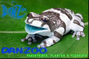 Banner Ad Design by marv'z for Danzoo ApS | Design: #1962166