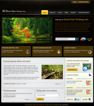 Web Design by Expert Designer