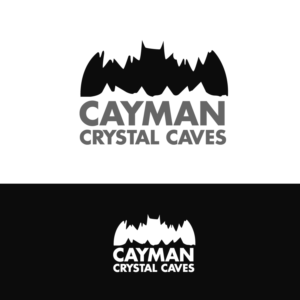 Logo Design by Wrique Design for this project | Design: #8424896