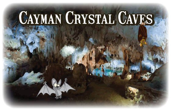 Logo Design by Frank Brittner Graphics for this project | Design #8426808